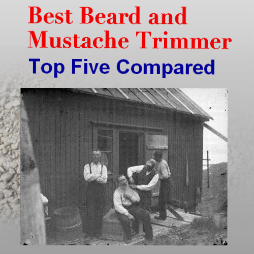 best beard and mustache trimmer