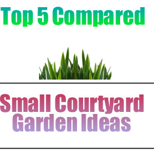 small courtyard garden ideas