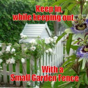 small garden fence ideas