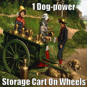 Storage carts on wheels