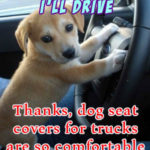 Dog Seat Covers For Trucks