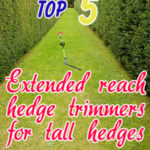 Extended Reach Hedge Trimmer