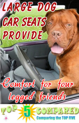 Large Dog Car Seat