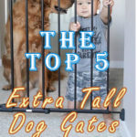 Extra Tall Dog Gate