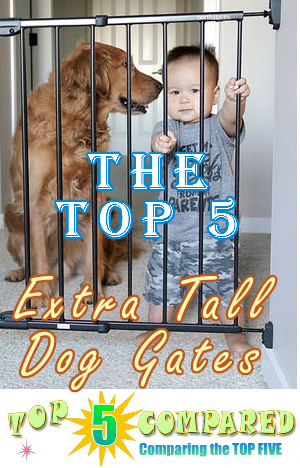 Extra Tall Dog Gate