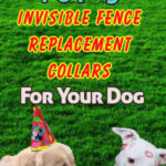 Invisible Fence Replacement Collar