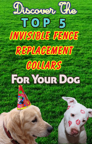Invisible Fence Replacement Collar
